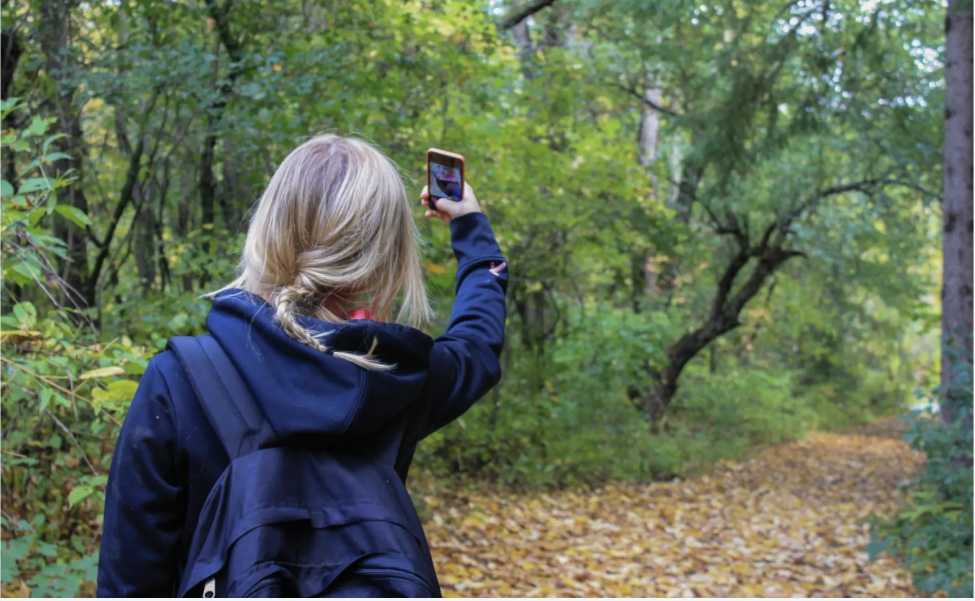 Estudo Revela que o Aumento da Fotografia de Natureza nas Redes Sociais Prejudica a Vida Selvagem e os Habitats