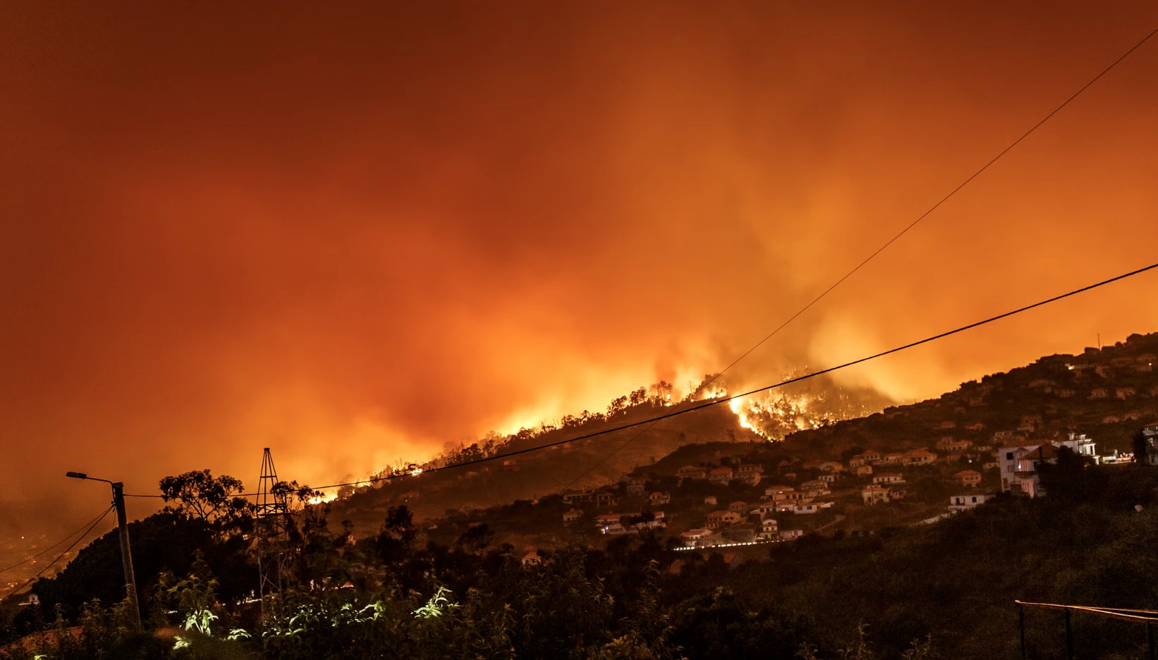 Google Lança FireSat: Uma Nova Ferramenta de IA para Detecção de Incêndios Florestais