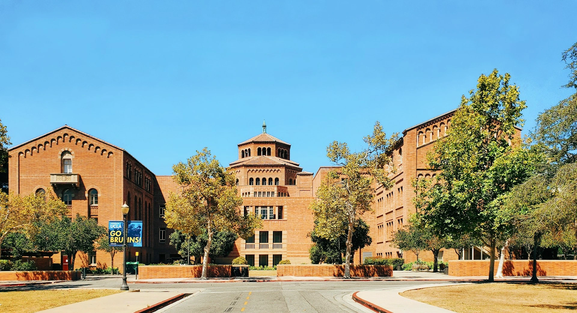 A UCLA apresenta curso de literatura concebido por IA