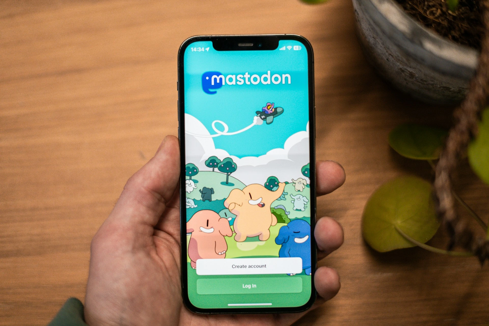 CEO do Mastodon Transferirá a Propriedade Para Uma Organização Sem Fins Lucrativos