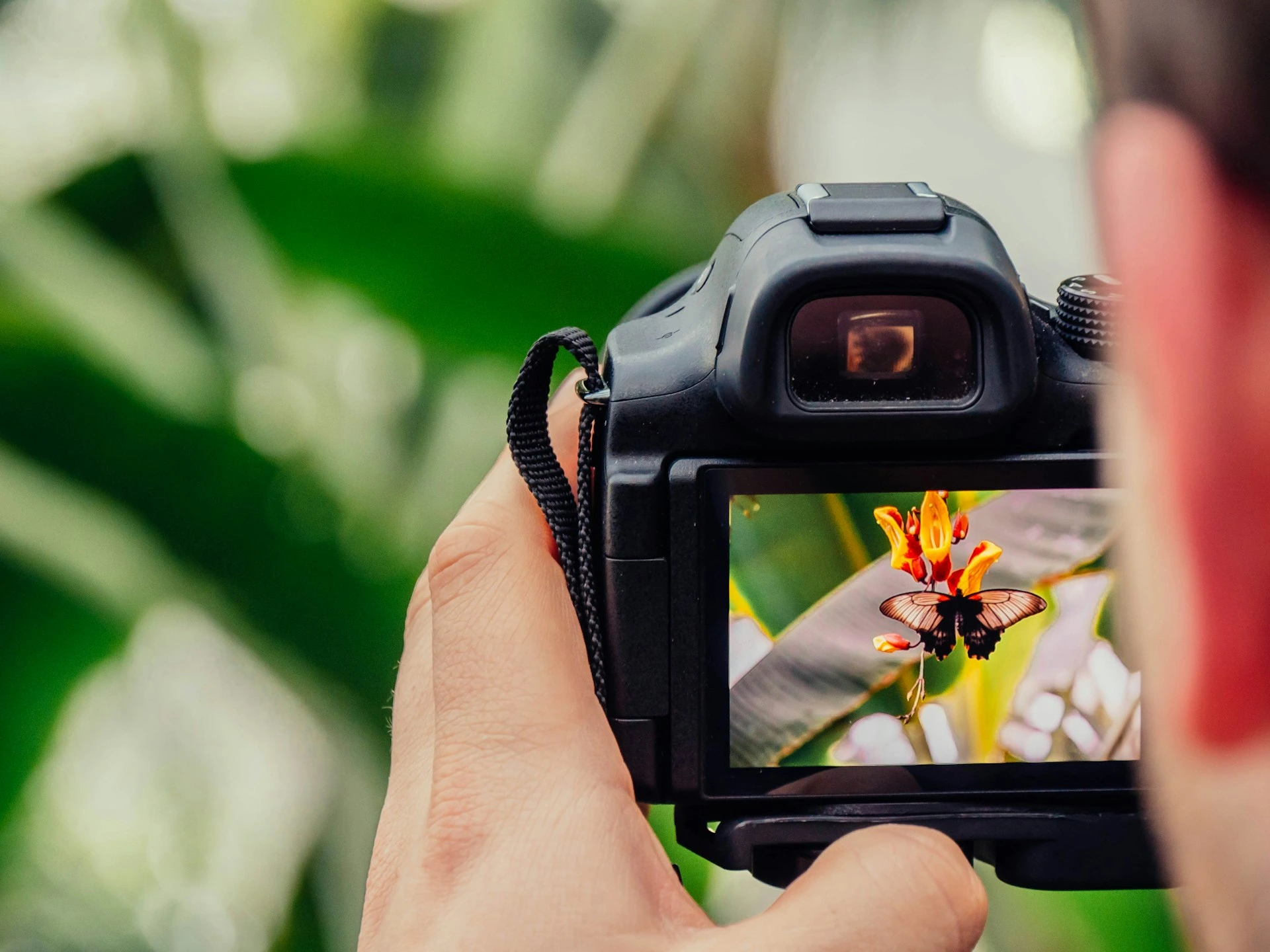 A Getty Images vai se fundir com a rival Shutterstock para criar uma empresa de $3,7 bilhões